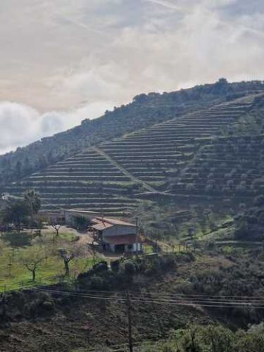 Venda Terreno R�stico