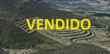 Venda