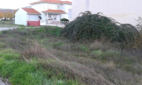 Foto do im�vel