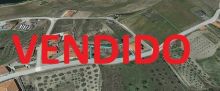 Venda