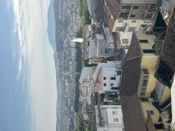 Venda