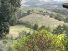 Foto do im�vel