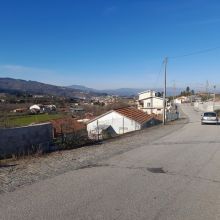 Venda