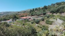 Venda