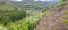 Foto do im�vel