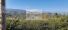 Foto do im�vel