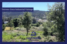 Venda