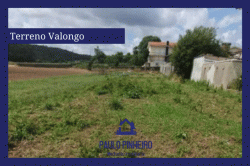 Venda